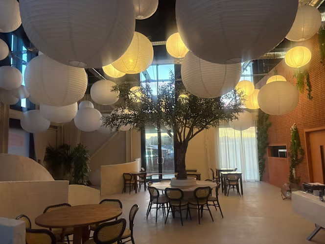 Sygnature Dish Ltd - 3