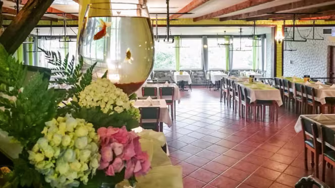 Miradouro São Roque - 0