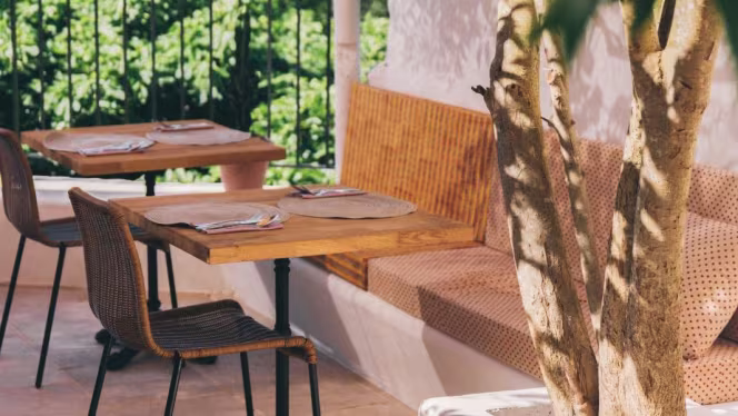 Picotte Provence - 5