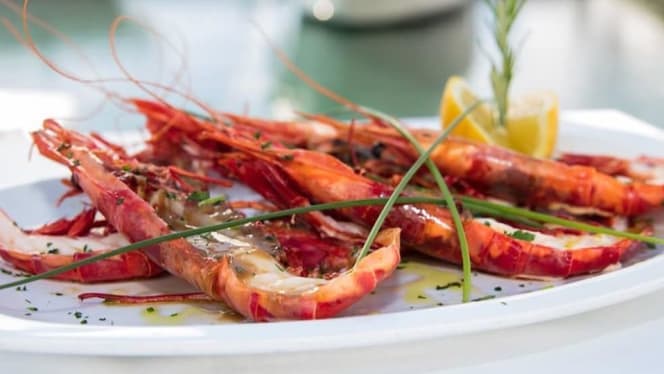 La Habana Lounge - Marbella - 1