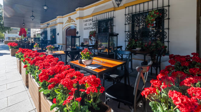 Taberna La Dehesa - Sevilla - 4