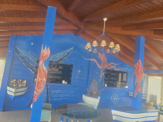 Ohana beach "bagno vela latina" - 9
