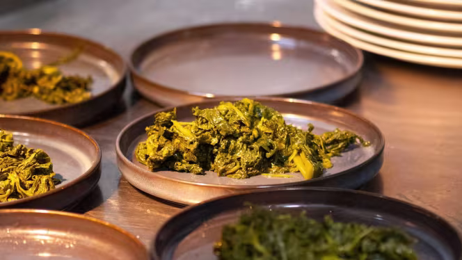 Tenimmoce Accussì - 5