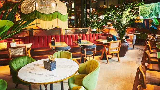 V Modern Italian - 8