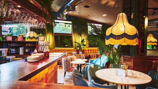 V Modern Italian - 0