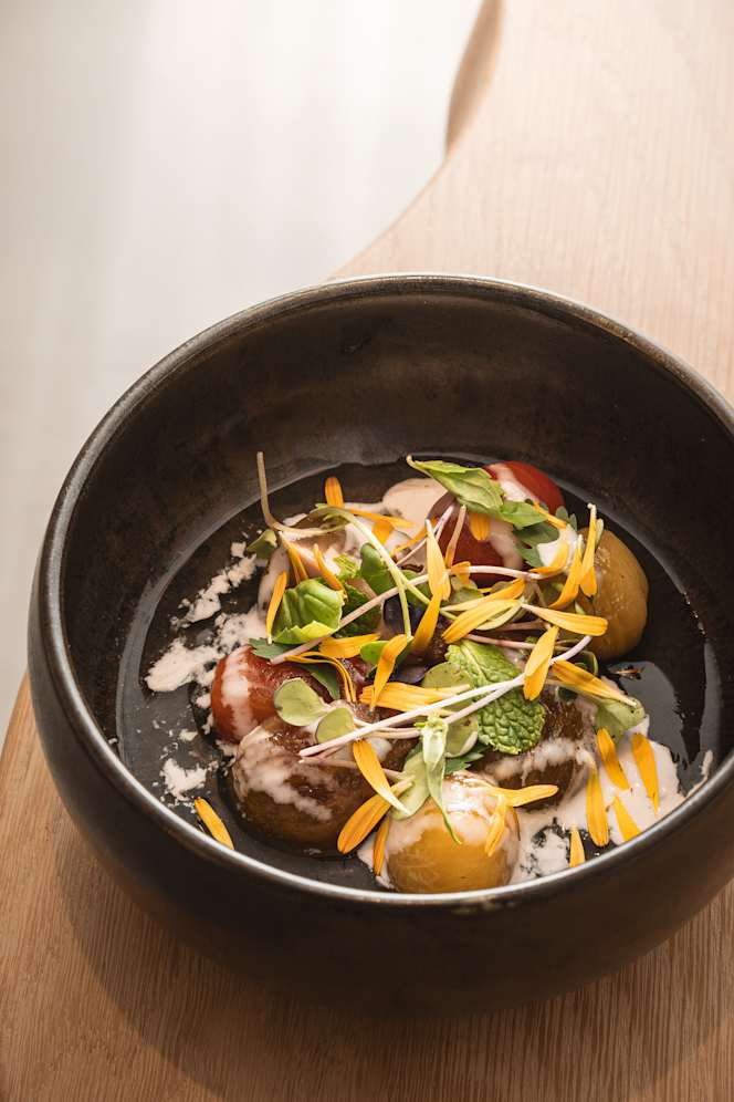 Sanabria - Típicamente Santa Cruz - 0