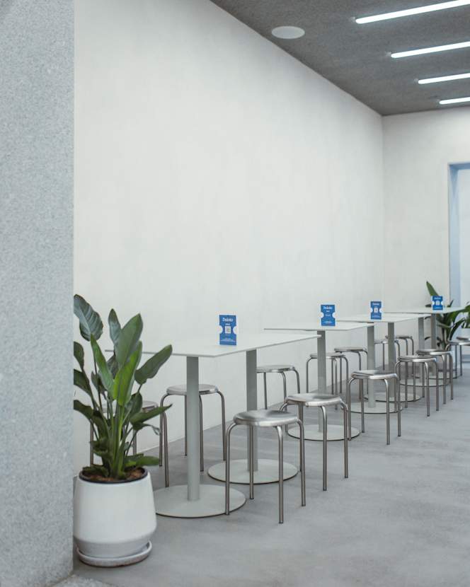 Deleito Roger de Flor - 3