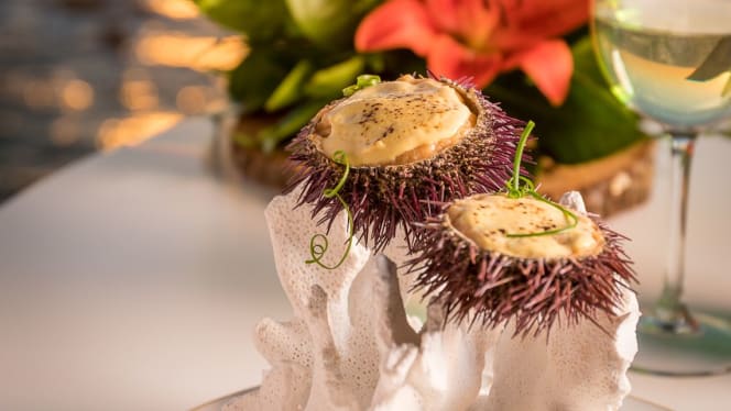 La Tacita del Atlántico - Parador de Cadiz - 3