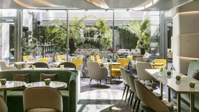 Le Collectionneur - Restaurant - 0