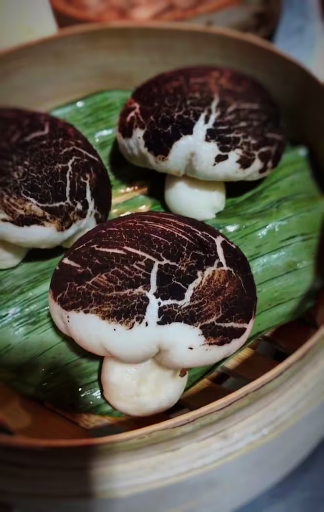 DINASTIA TANG''' - 1