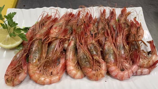 El Chato Los Álcazares - 1