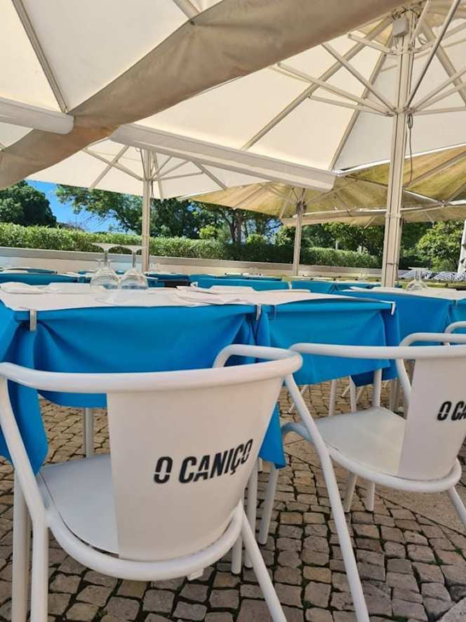 O Caniço - 2