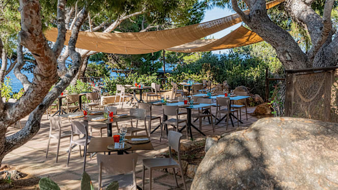 Scausu Grill Pollina - 0