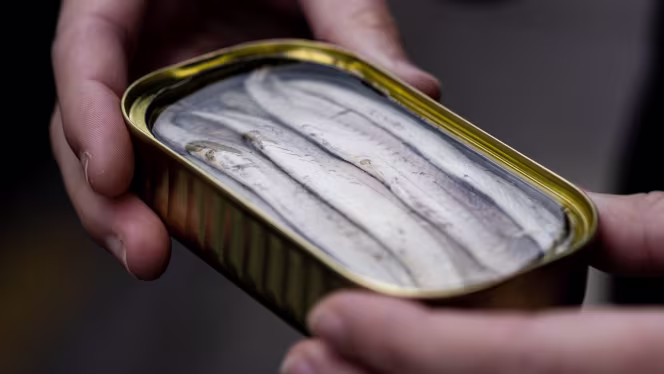 Bellota-Bellota® Boulogne - 2