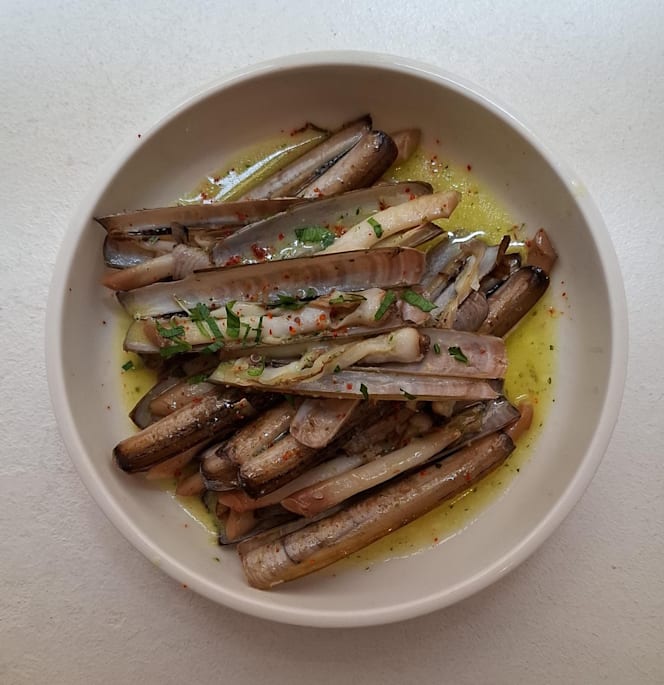 Coquille - Rennes - 1