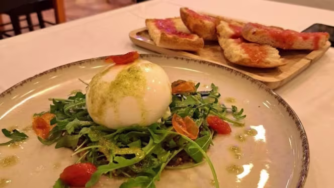 Elite Barna - Rosello - 3