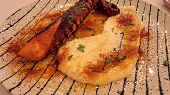 Elite Barna - Rosello - 1