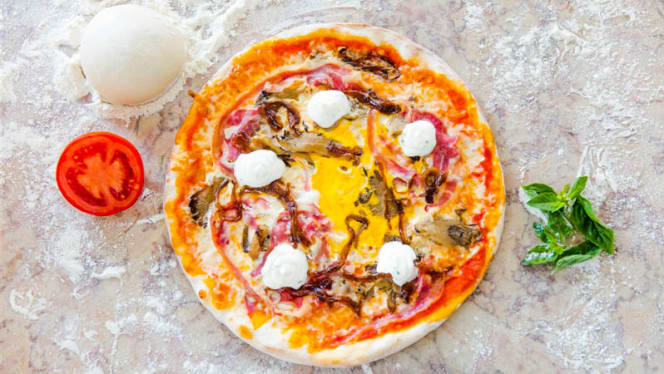 Dama e Vagabundo - 0