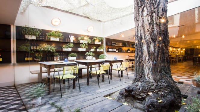 Braciere Malatesta dal 1954 - 0