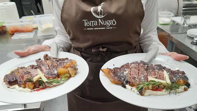 Terra Nugas - 6