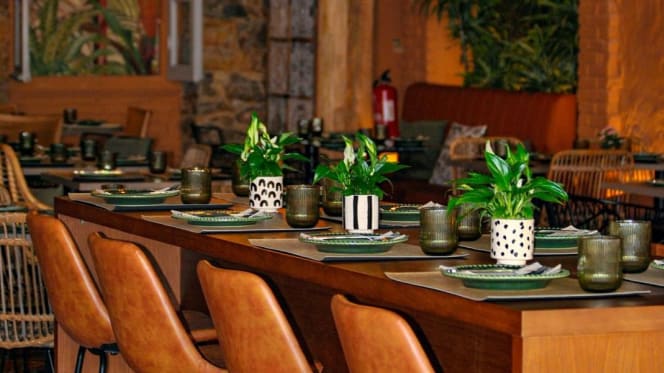 Green Buddha Faro - 9