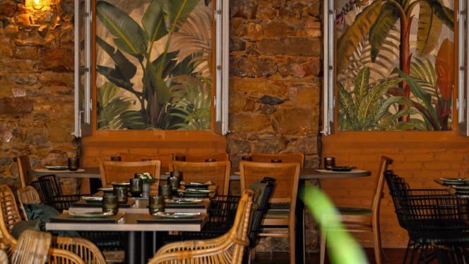 Green Buddha Faro - 5