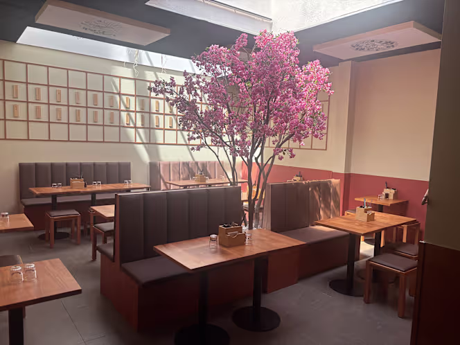 Tori Menya - 3