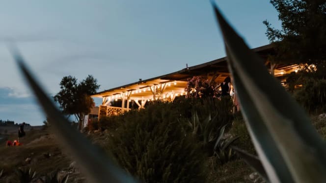 Osteria Etrusca Saline - Pisa - 5