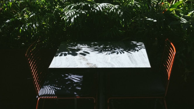 Animal – Restaurant & Bar - 7