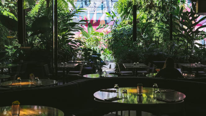 Animal – Restaurant & Bar - 0