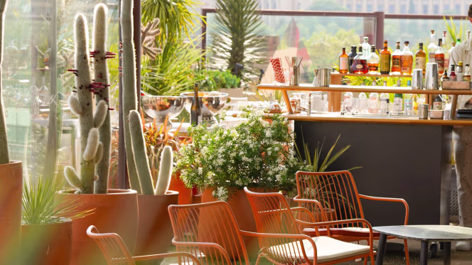 Bar Les Ombres - Quai Branly - 0