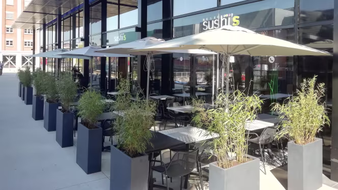 Sushi's Black Swans - 0