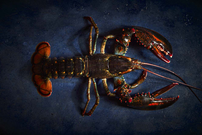 The Merchants Palma - Steak & Grill - 5