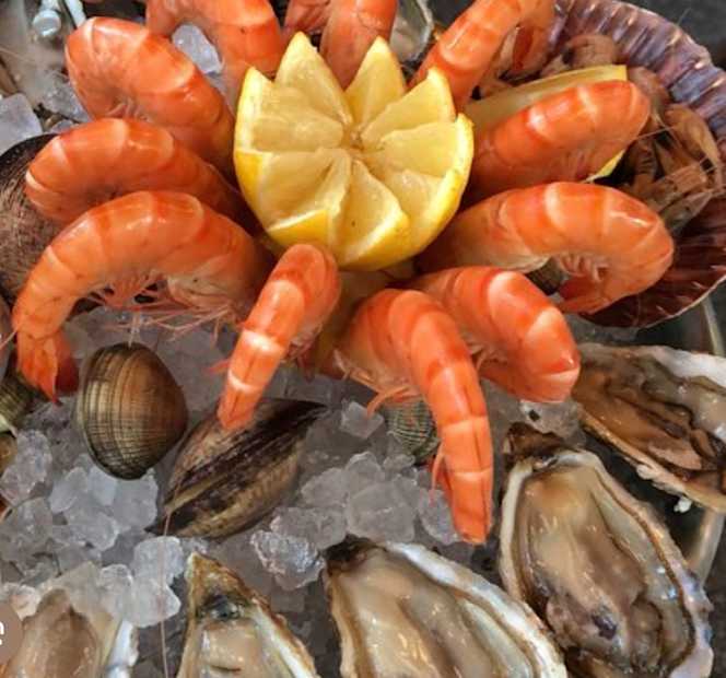 Oyster & Samba - 9