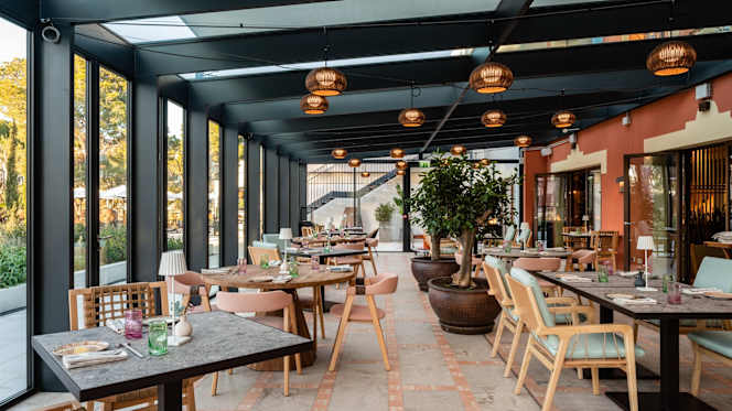 Saba Restaurant Bar & Bodega - 1