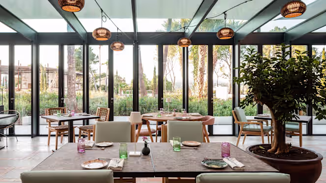 Saba Restaurant Bar & Bodega - 2