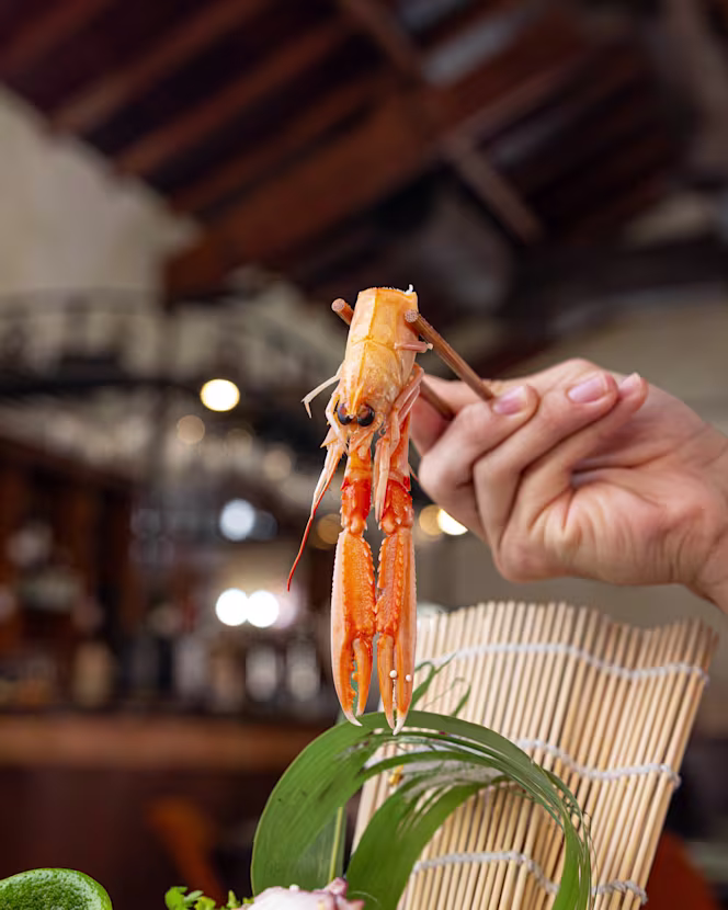 Sushi Dori Elche - Elx - 1