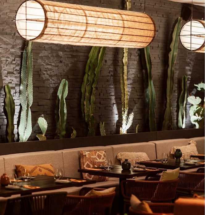 Sarcastic - Porto - 1