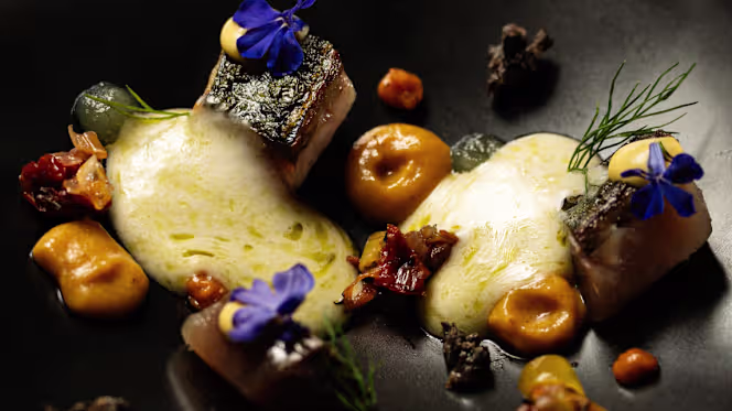 Orma Restaurante - 2