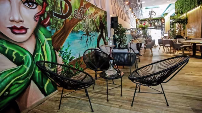 Destino Raíz - Mostoles - 0