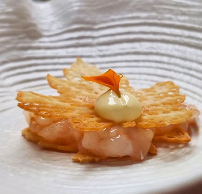 In Punta di Piedi - 1