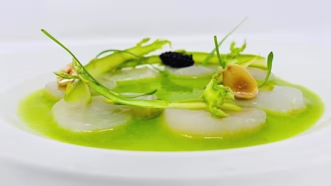 Collins - Perugia - 1