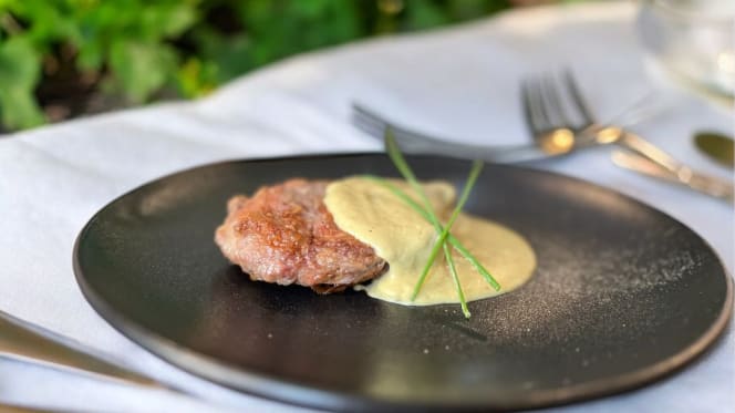 Kibò Sazi E Brilli - 2