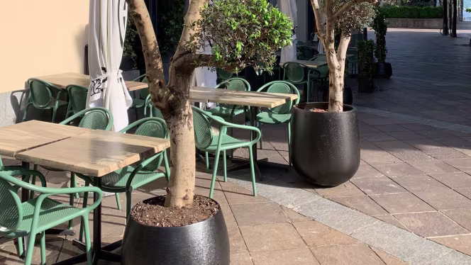 Grande caffè e Bistrot - 5