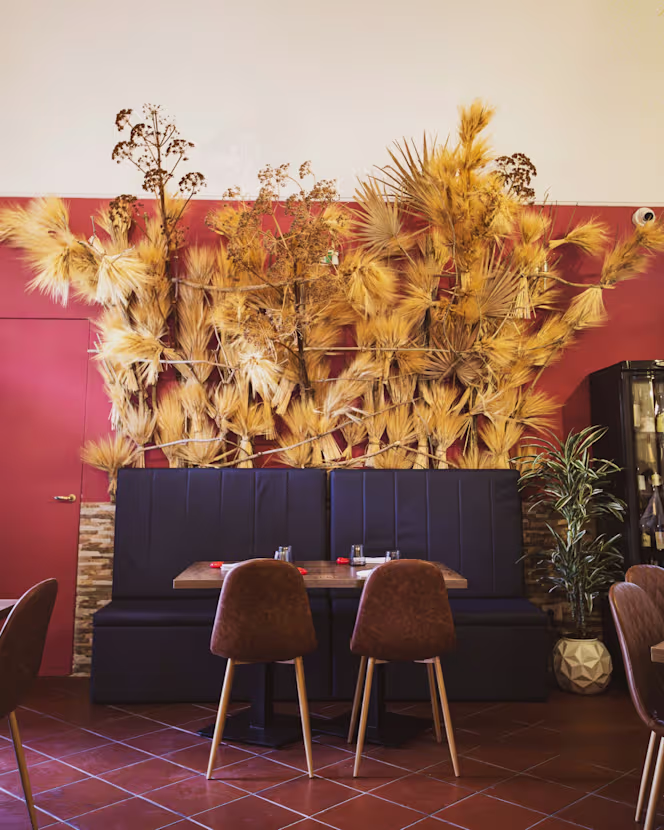 Osteria Bencivenga - 0