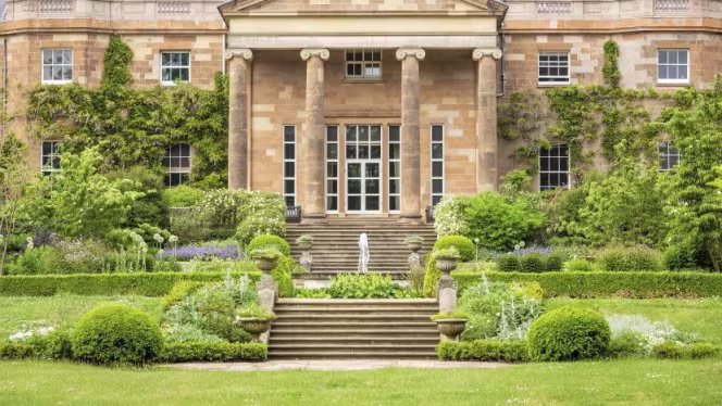 Taste of the Garden's Afternoon Tea - 2