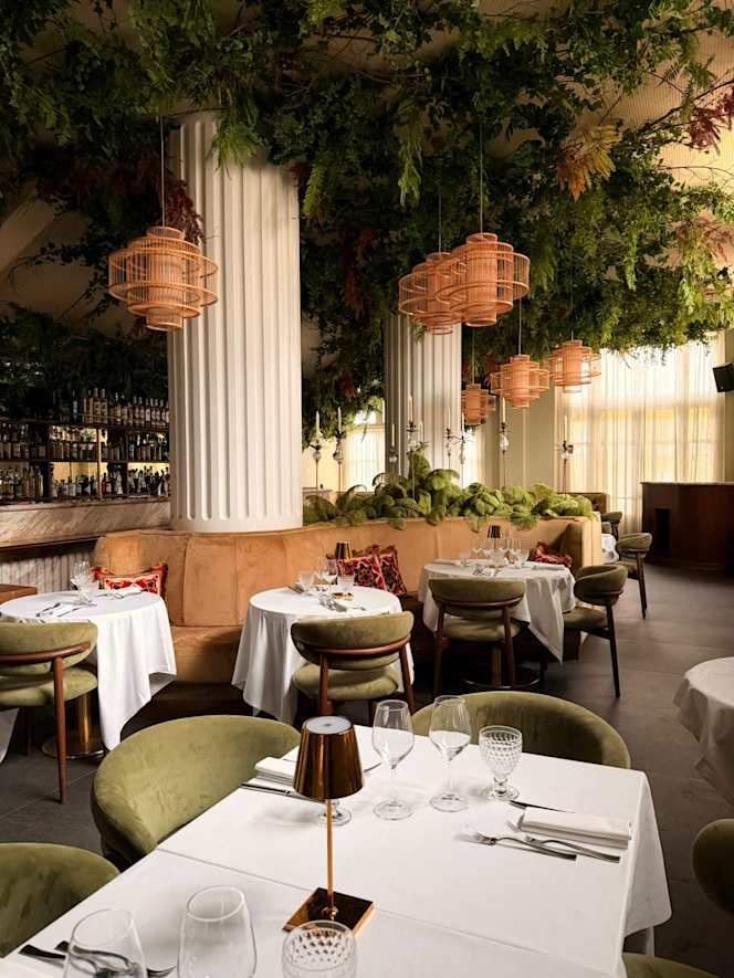 DOMUS Garden Club - 8