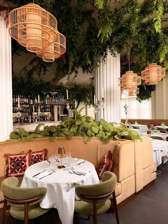 DOMUS Garden Club - 5