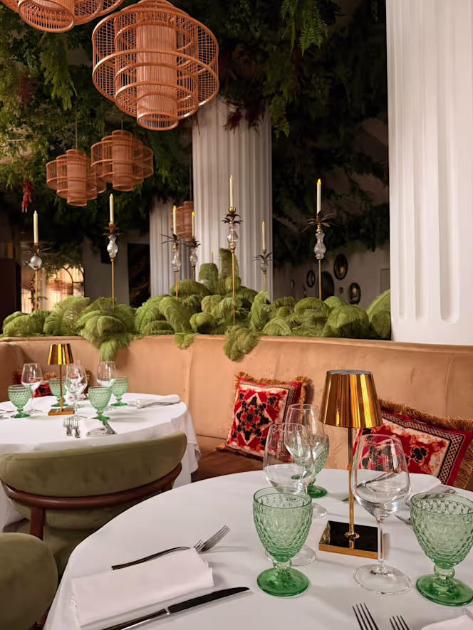 DOMUS Garden Club - 2