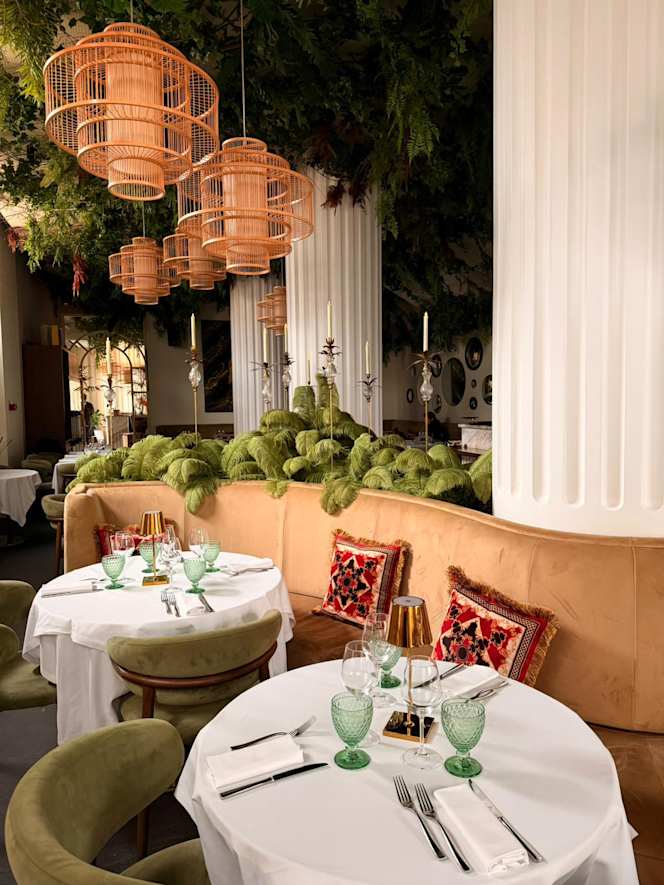 DOMUS Garden Club - 4